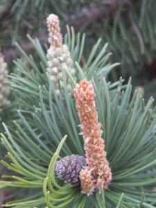 DSCN0047.JPG