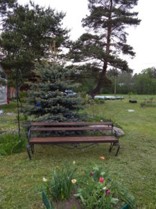 DSCN0093.JPG