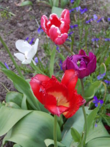 DSCN0018.JPG