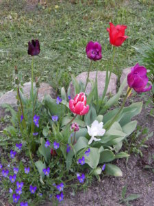 DSCN0021.JPG