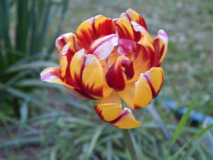 DSCN0022.JPG