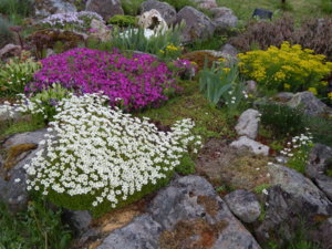 DSCN0040.JPG