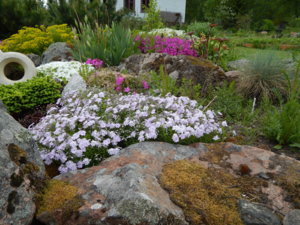 DSCN0054.JPG