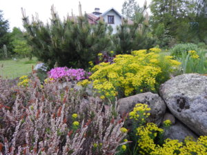 DSCN0062.JPG