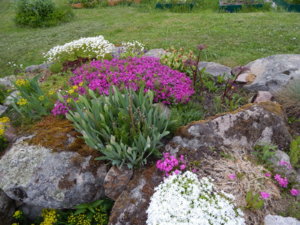 DSCN0063.JPG