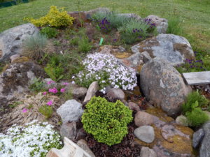 DSCN0064.JPG