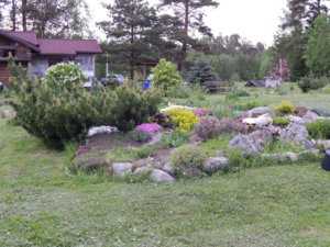 DSCN0076.JPG