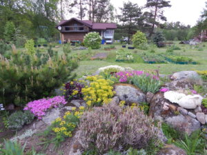 DSCN0080.JPG