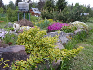 DSCN0087.JPG
