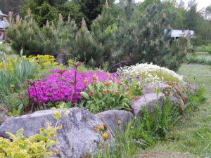 DSCN0089.JPG