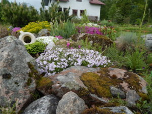 DSCN0112.JPG