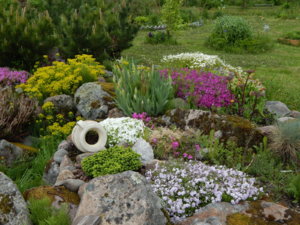 DSCN0116.JPG