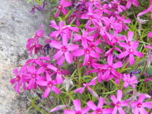 DSCN0002.JPG