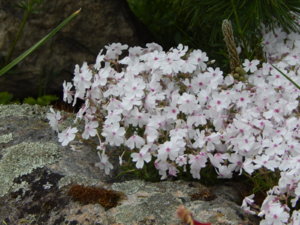 DSCN0017.JPG