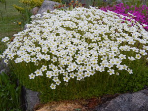 DSCN0042.JPG