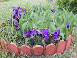 DSCN0032.JPG