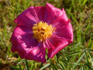 DSCN0128.JPG
