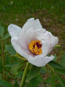 DSCN0239.JPG