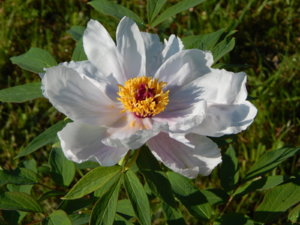 DSCN0304.JPG