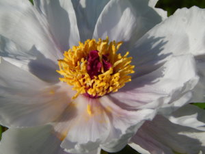 DSCN0308.JPG