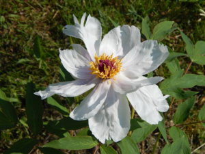 DSCN0352.JPG