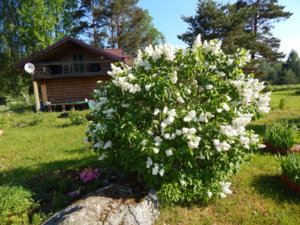 DSCN0183.JPG