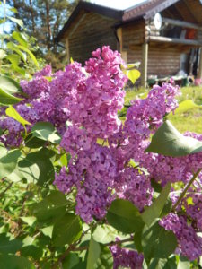 DSCN0226.JPG