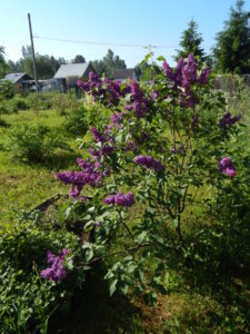 DSCN0235.JPG