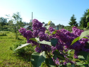 DSCN0236.JPG