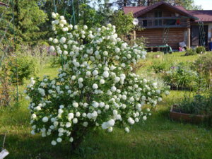 DSCN0173.JPG