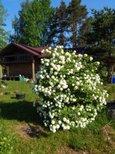 DSCN0187.JPG