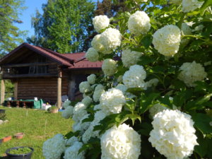 DSCN0188.JPG