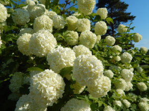 DSCN0190.JPG