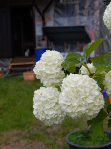 DSCN0243.JPG