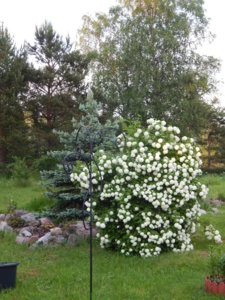 DSCN0245.JPG