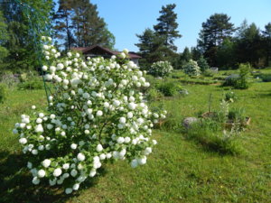 DSCN0348.JPG