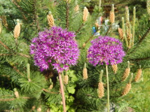 DSCN0191.JPG