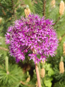 DSCN0192.JPG