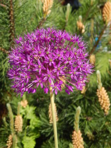 DSCN0193.JPG