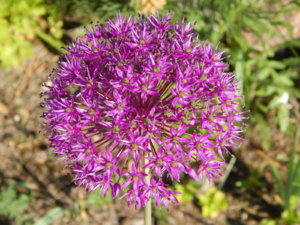 DSCN0194.JPG