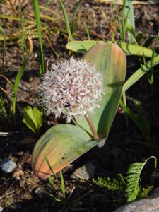 DSCN0197.JPG