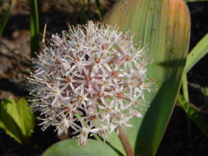 DSCN0198.JPG