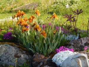 DSCN0140.JPG