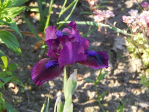 DSCN0199.JPG