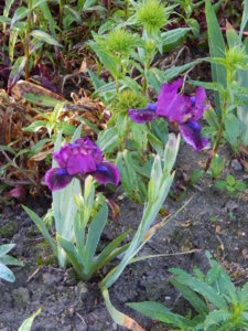 DSCN0313.JPG