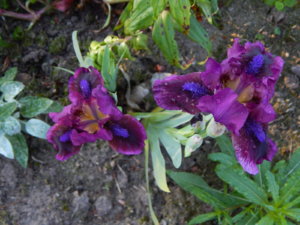 DSCN0314.JPG