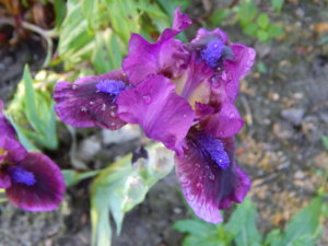DSCN0315.JPG