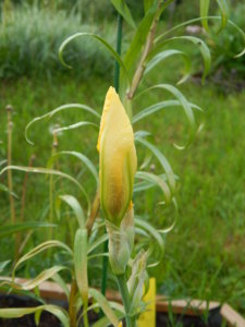 DSCN0278.JPG