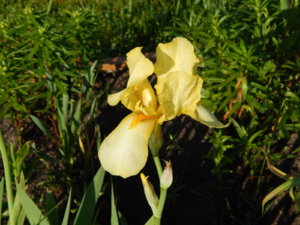 DSCN0296.JPG