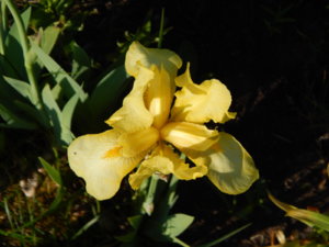 DSCN0297.JPG